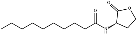 C10-HOMOSERINE LACTONE Struktur