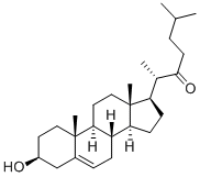 ZK-134306 Struktur