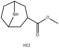 8-Azabicyclo[3.2.1]octane-3-carboxylic acid, methyl ester, hydrochloride (1:1) price.