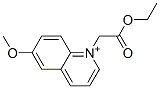 N-(ethoxycarbonylmethyl)-6-methoxyquinolinium Struktur