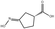 Cyclopentanecarboxylic acid, 3-(hydroxyimino)-, [R-(E)]- (9CI) Struktur