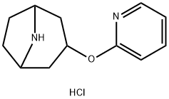 (1R,3r,5S)-3-(Pyridin-2-yloxy)-8-azabicyclo[3.2.1]octane dihydrochloride Struktur