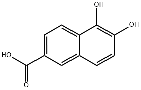 2-Naphthalenecarboxylic acid, 5,6-dihydroxy- (9CI) Struktur