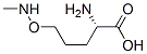 L-Norvaline, 5-[(methylamino)oxy]- (9CI) Struktur