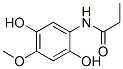 Propanamide, N-(2,5-dihydroxy-4-methoxyphenyl)- (9CI) Struktur