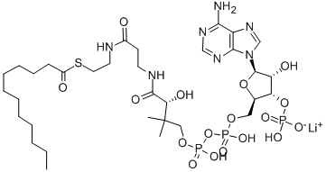 LAUROYL COENZYME A C12:0 LITHIUM SALT price.