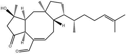 19022-51-6 結(jié)構(gòu)式