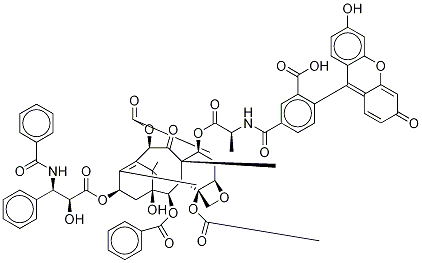 FLUTAX 1 Struktur