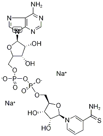 Thio-NADH Struktur