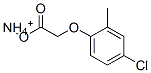 ammonium 4-chloro-2-methylphenoxyacetate  Struktur