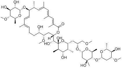 Apoptolidin Struktur