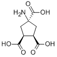 ACPT-II Struktur