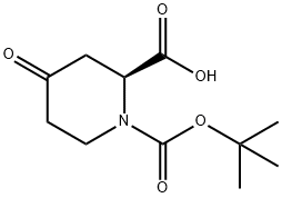 1-(tert-butoxycarbonyl)-4-oxopiperidine-2-carboxylic acid Struktur