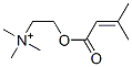 senecioylcholine Struktur