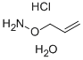 O-ALLYLHYDROXYLAMINE HYDROCHLORIDE