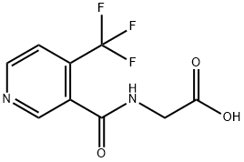 TFNG STANDARD Struktur