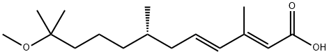 (2E,4E)-11-methoxy-3,7,11-trimethyl-dodeca-2,4-dienoic acid