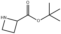 2-Azetidinecarboxylicacid,1,1-dimethylethylester(9CI) Struktur