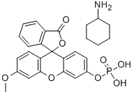 3-O-甲基熒光黃磷酸鹽單環(huán)己基銨鹽 結(jié)構(gòu)式