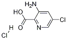 3-AMino-5-chloropyridine-2-carboxylic acid hydrochloride Struktur