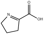 3,4-dihydro-2H-pyrrole-5-carboxylic acid Struktur