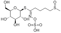 1-チオ-β-D-グルコピラノース1-[N-(ヒドロキシスルホニルオキシ)-5-(メチルスルフィニル)ペンタンイミダート] price.