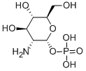 ALPHA-D-GLUCOSAMINE 1-PHOSPHATE price.