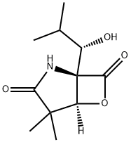 α-Methyl OMuralide Struktur