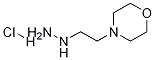 1-(2-Morpholinoethyl)hydrazine hydrochloride Struktur