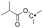 Ethyl,  1-methyl-1-(2-methyl-1-oxopropoxy)-  (9CI) Struktur