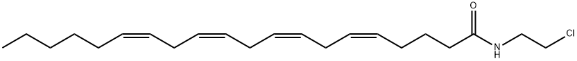 ACEA Struktur