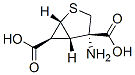 2-Thiabicyclo[3.1.0]hexane-4,6-dicarboxylicacid,4-amino-,(1R,4S,5S,6S)-(9CI) Struktur