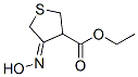 3-Thiophenecarboxylicacid,tetrahydro-4-(hydroxyimino)-,ethylester(9CI) Struktur