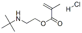 2-[(1,1-dimethylethyl)amino]ethyl methacrylate hydrochloride  Struktur