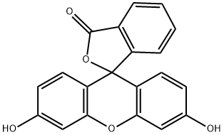 Fluorescein Structure