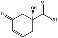 3-Cyclohexene-1-carboxylicacid,1-hydroxy-5-oxo-,(1R)-(9CI) Struktur