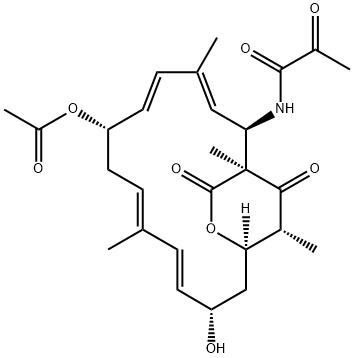 N-[(1S,2R,3E,5E,7S,9E,11E,13S,15R,19R)-7-(Acetyloxy)-13-hydroxy-1,4,10,19-tetramethyl-17,18-dioxo-16-oxabicyclo[13.2.2]nonadeca-3,5,9,11-tetren-2-yl]-2-oxopropanamide Struktur