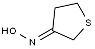 TETRAHYDROTHIOPHEN-3-ONE OXIME Struktur