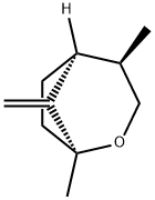 [1S,4R,5S,(+)]-1,4-Dimethyl-8-methylene-2-oxabicyclo[3.2.1]octane Struktur