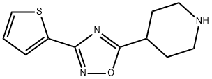 4-[3-(THIEN-2-YL)-1,2,4-OXADIAZOL-5-YL]PIPERIDINE
 Struktur