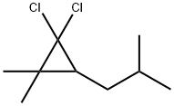 1,1-Dichloro-2,2-dimethyl-3-isobutylcyclopropane Struktur