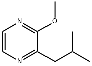 2-Methoxy-3-isobutyl pyrazine price.