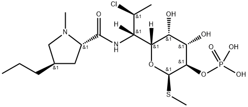 Clindamycin phosphate