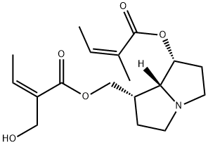 Sarracine Struktur