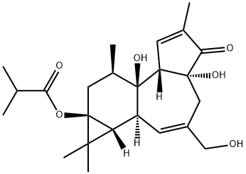 12-DEOXYPHORBOL 13-ISOBUTYRATE Struktur