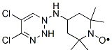 2,2,6,6-tetramethyl-4-(dichlorotriazin)aminopiperidine-1-oxyl Struktur