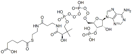 6-[2-[3-[[(2R)-4-[[[(2R,3S,4R,5R)-5-(6-aminopurin-9-yl)-4-hydroxy-3-phosphonooxyoxolan-2-yl]methoxy-hydroxyphosphoryl]oxy-hydroxyphosphoryl]oxy-2-hydroxy-3,3-dimethylbutanoyl]amino]propanoylamino]ethylsulfanyl]-6-oxohexanoic acid Struktur