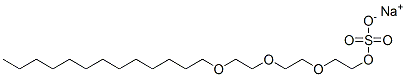 sodium 2-[2-[2-(tridecyloxy)ethoxy]ethoxy]ethyl sulphate Struktur