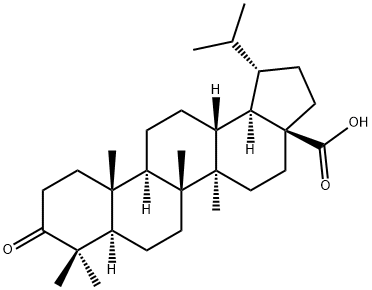 Dihydrobetulonicacid Struktur