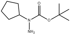 Hydrazinecarboxylic acid, 1-cyclopentyl-, 1,1-dimethylethyl ester (9CI) Struktur